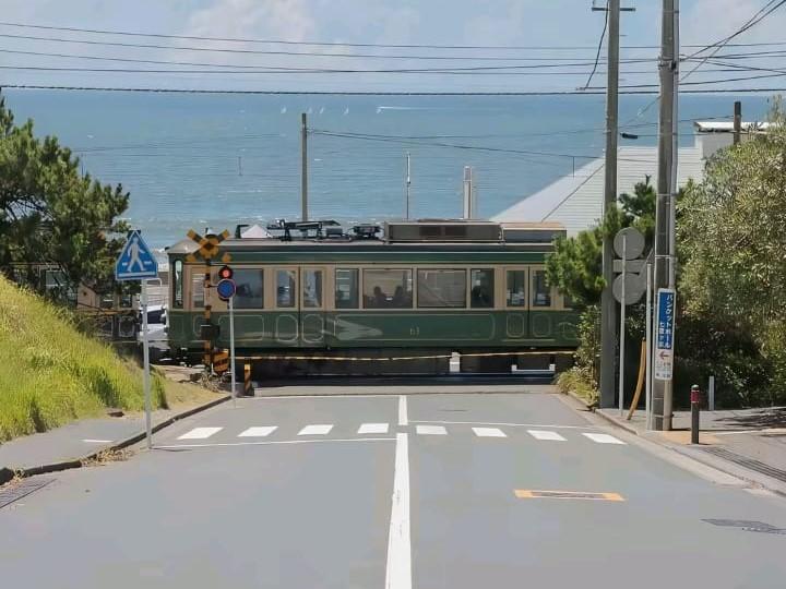 Kamakura, Permata Tersembunyi di Jepang yang Wajib Dikunjungi
