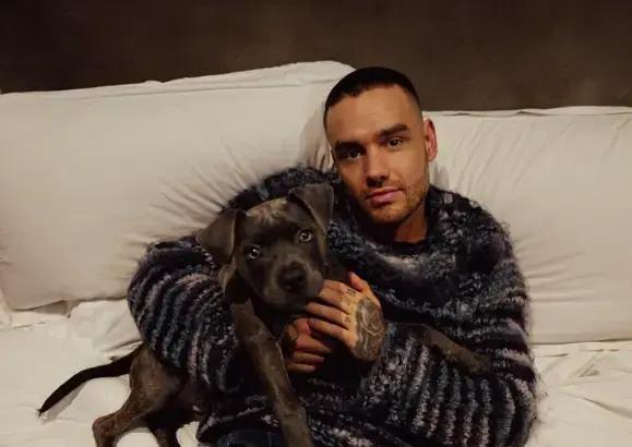Fakta Baru! Hasil Autopsi Liam Payne Tunjukkan Kadar Alkohol Tinggi