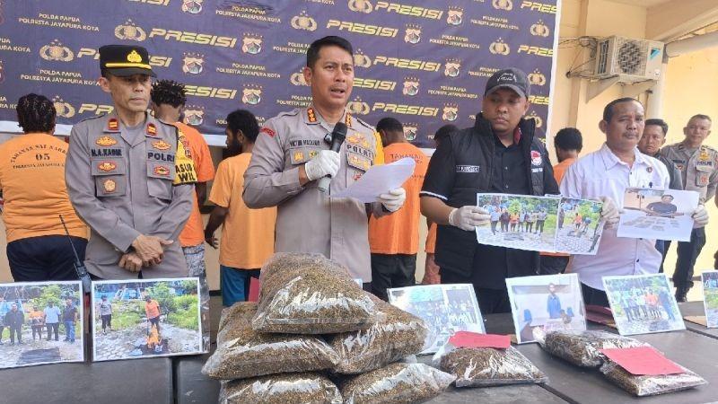 Hingga Februari 11 Pengedar Narkoba di Jayapura Ditangkap, 7 Kg Ganja Senilai Rp300 Juta Disita