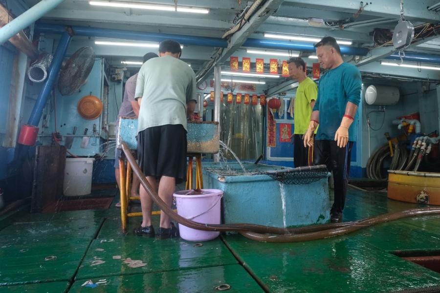 Bea Cukai Apresiasi CV Yong Fisheries, Ini Alasannya