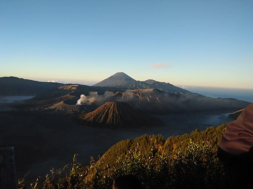 Temuan 59 Titik Ladang Ganja di TNBTS, Komisi IV DPR Bakal Panggil Kemenhut