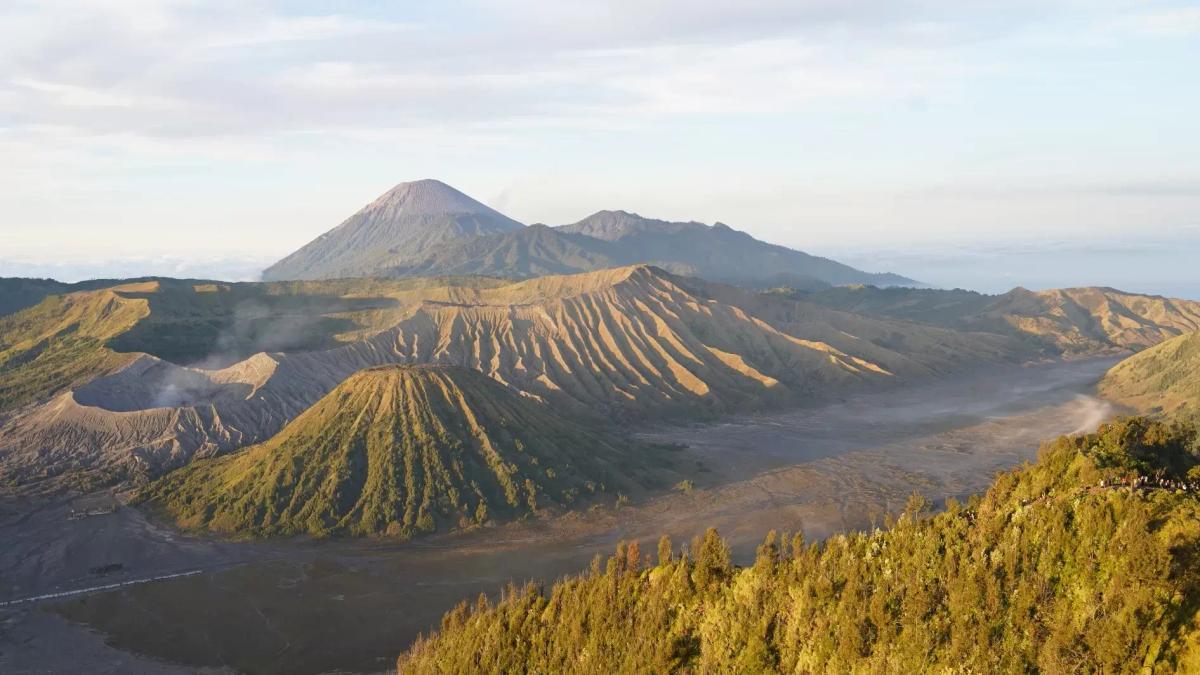 Larangan Drone di Bromo: Upaya Konservasi atau Ruang Aman Ladang Ganja?