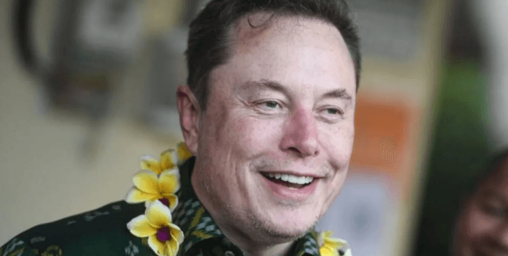 Elon Musk Balas Sindiran Peter Navarro Soal Produksi Tesla: “Lebih Bodoh dari Sekarung Batu Bata”