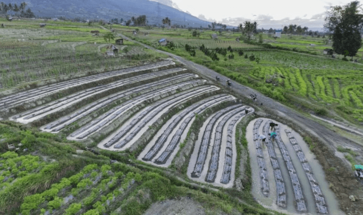 Cetak Sawah Bukan Tabu: Pemerintah Gabungkan Dua Jalur Demi Swasembada Pangan