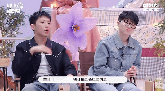 Kisah Perjuangan SEVENTEEN dan TWICE Sebelum Terkenal