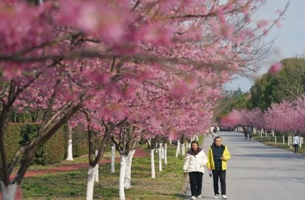 Perdagangan Jasa China Tumbuh 8,7 Persen pada Kuartal Pertama 2025