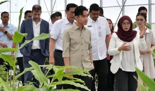 Wapres Gibran Apresiasi Hilirisasi Produk Herbal di Humbahas, Dorong Generasi Muda Terlibat Lewat Inovasi