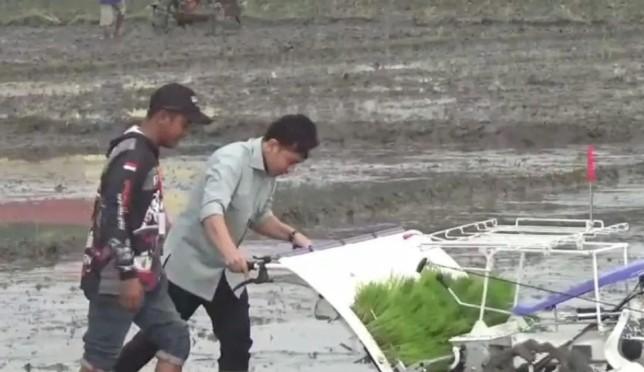 Wapres Gibran Tanam Padi di Ngawi, Tegaskan Komitmen Pemerintah untuk Ketahanan Pangan Nasional