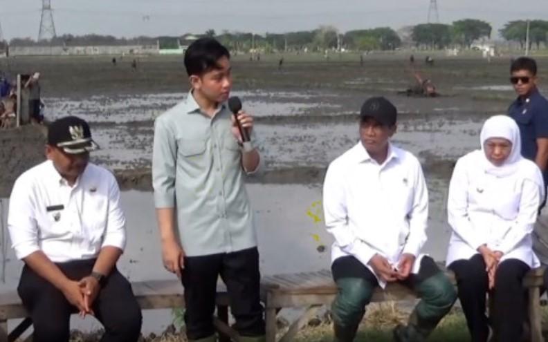 Wapres Gibran dan Mentan Amran Tanam Padi Inpari 32 di Ngawi, Dukung Ketahanan Pangan Nasional