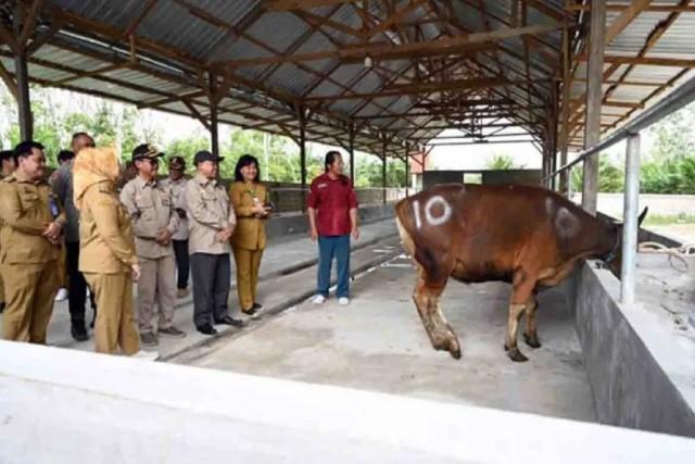 Bupati Kobar Serahkan 147 Sapi Kurban, Prioritaskan Warga Kurang Mampu hingga Pelosok Desa