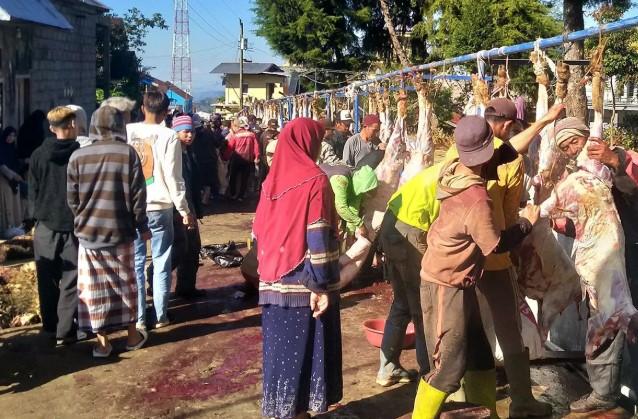 Tradisi Kurban Kolektif Desa Batur: 720 Hewan Disembelih, Daging Dibagi hingga Luar Kabupaten