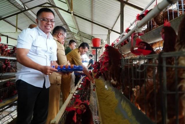 Pemerintah Tetapkan HPP Ayam Hidup Rp18.000/Kg, Lindungi Peternak dari Harga Jatuh