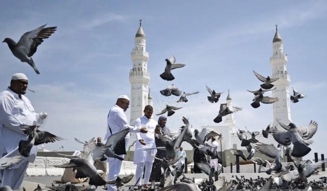 Masjid Quba, Simbol Abadi Persatuan dan Gotong Royong dalam Sejarah Islam