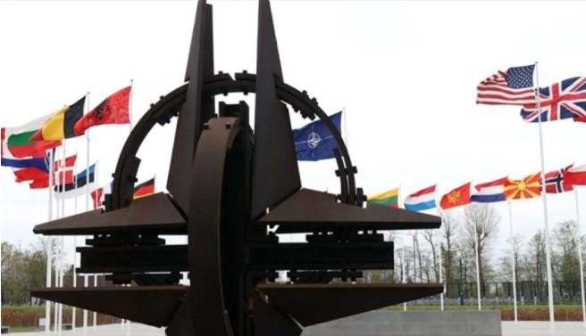 Aktivis AS Sebut NATO Sebagai Pemicu Konflik Global, Desak Pembubaran dan Penegakan Hukum Internasional