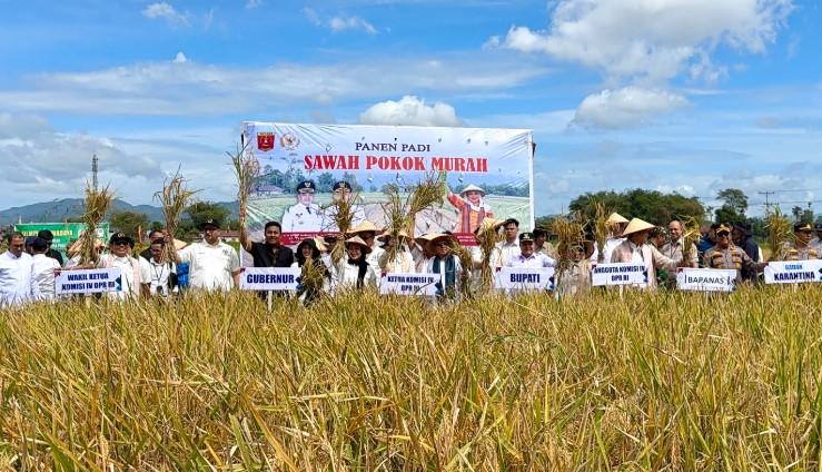 DPR Dorong Metode “Sawah Bapokok Murah” Jadi Program Nasional untuk Swasembada Pangan