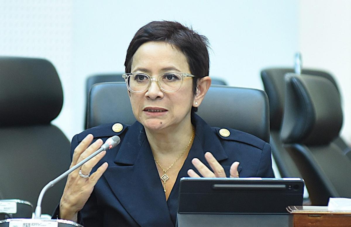 Nurul Arifin Dorong KBRI Aktif Kawal Hak PMI dan WNI