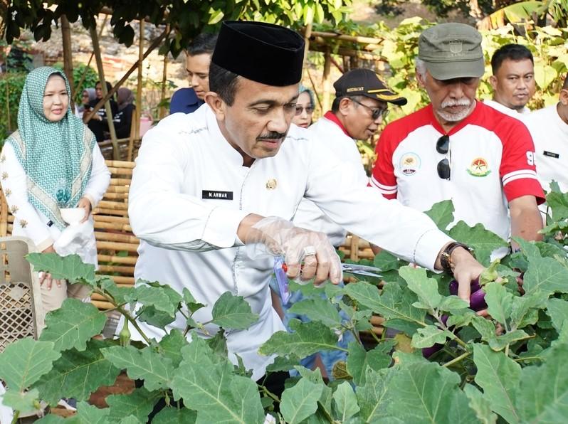 Pemkot Jakarta Selatan Dorong Pertanian Perkotaan, Panen Sayur Bersama Warga di Lenteng Agung