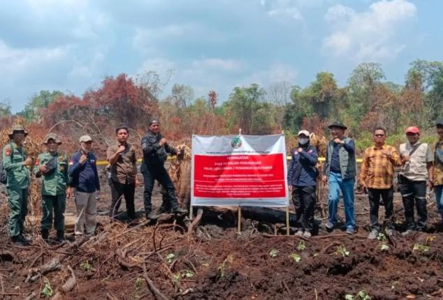 Kemenhut Segel Tiga Perusahaan PBPH di Riau, Lahan Gambut Terbakar hingga 160 Hektare
