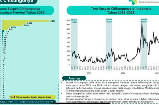 Kasus Suspek Chikungunya Awal 2025 Naik Drastis, Kemenkes Imbau Waspada