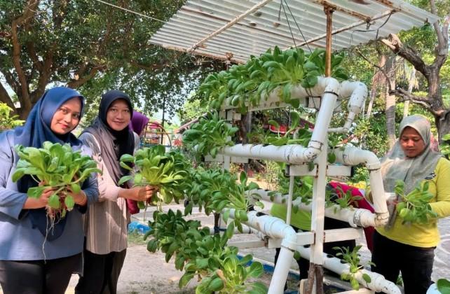 Warga Kepulauan Seribu Diedukasi Tanam Sayur Hidroponik di Lahan Terbatas RPTRA Tidung Ceria