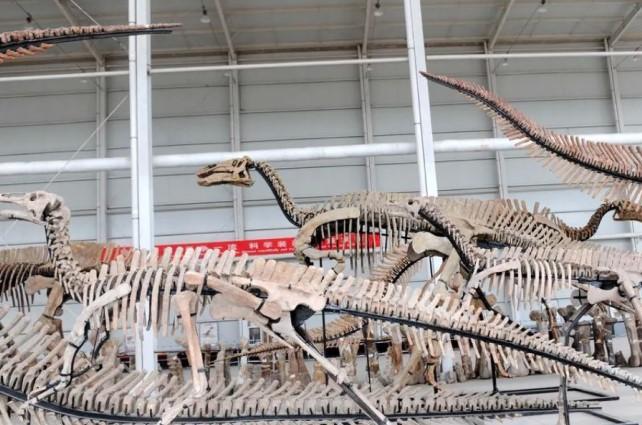 Fosil Tulang Paha Terpanjang Tyrannosaurus Ditemukan di China, Diduga Seukuran dengan Spesimen Legendaris 'Sue'