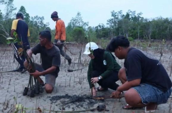 Kalimantan Timur Siapkan 110 Ribu Hektare Lahan untuk Rehabilitasi Mangrove Guna Pulihkan Ekosistem dan Ekonomi