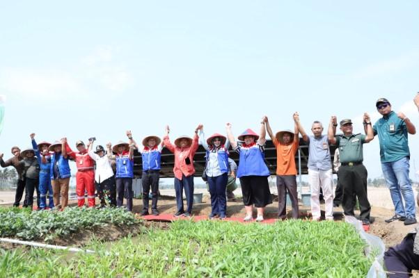 Pertamina Dorong Ketahanan Pangan, Energi Bersih Aliri 25 Hektar Lahan Pertanian Berkelanjutan Milik Warga Kalijaran