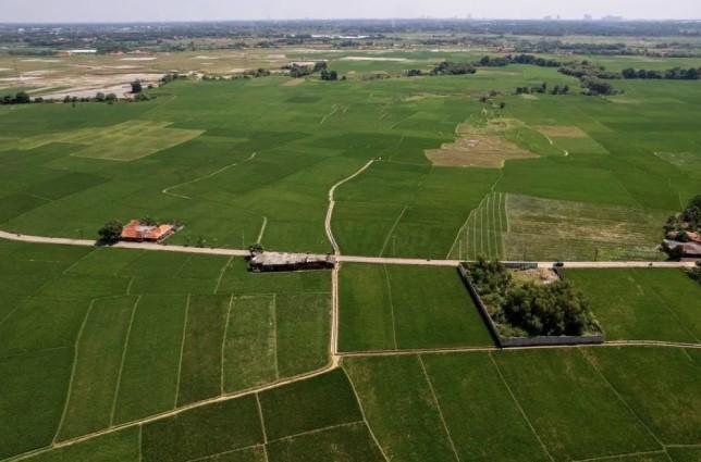 Pemerintah Kembangkan 3 Juta Hektare Sawah hingga 2029 untuk Ketahanan Pangan Nasional