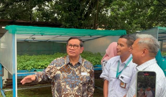 Gubernur DKI Jakarta Dukung Penuh Ladang Farm, Pertanian Vertikal Cilandak Berbasis Hidroponik Skala Industri