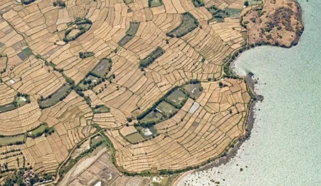 BMKG: Kecamatan Lape di Sumbawa Alami Kekeringan Ekstrem Selama 118 Hari Tanpa Hujan