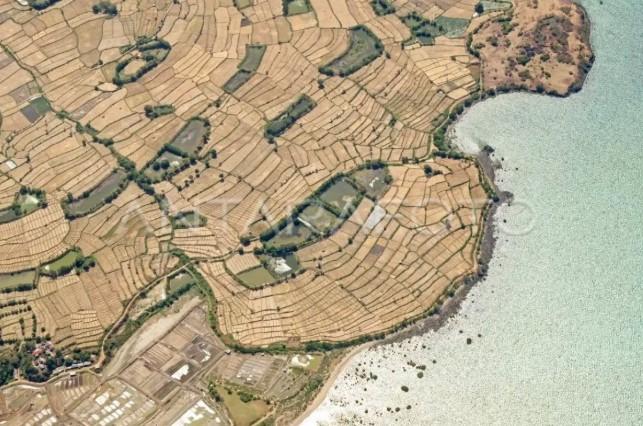 Kontras Cuaca di Indonesia: Hujan Deras di Banyak Wilayah, Kekeringan Ekstrem di Lape Sumbawa