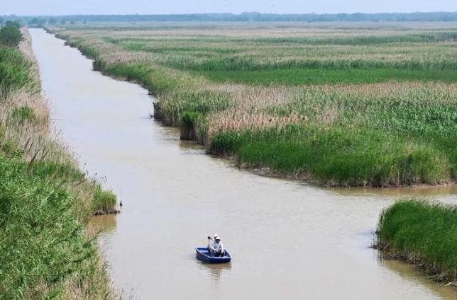 Laporan Global Ungkap Degradasi Serius Ekosistem Pesisir, Lebih dari 10 Persen Spesies Terancam Punah