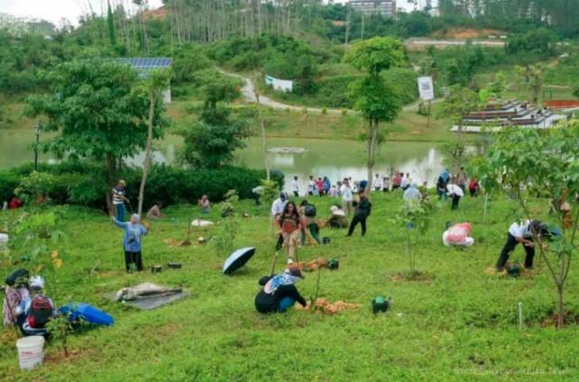 OIKN dan PATPI Jadikan Nusantara Pusat Pertanian Berkelanjutan Lewat Urban Farming dan Kopi Liberika