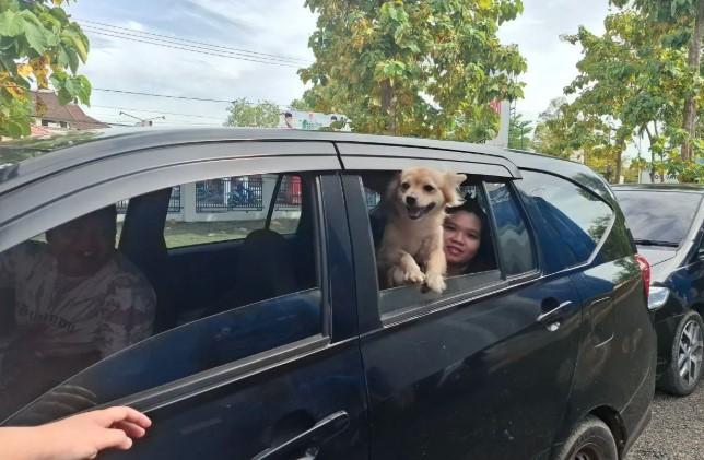 Disnakkeswan Lampung Gelar Vaksinasi Rabies Gratis bagi Hewan Peliharaan