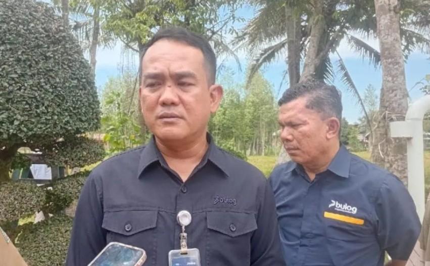 Bulog Sumut Segera Salurkan 1.405 Ton Jagung SPHP untuk Peternak Ayam di Empat Kabupaten
