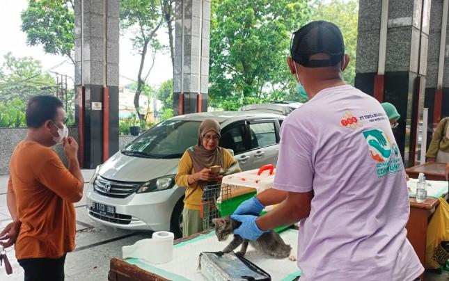 Cegah Rabies, KPKP Kramat Jati Vaksinasi Gratis 37 Kucing Milik Warga Balekambang