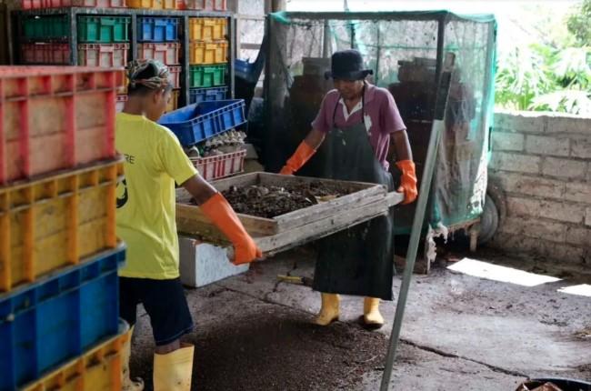 ITDC Terapkan Ekonomi Sirkuler dalam Pengelolaan Sampah MotoGP Mandalika 2025 melalui Program Integrated Food Surplus