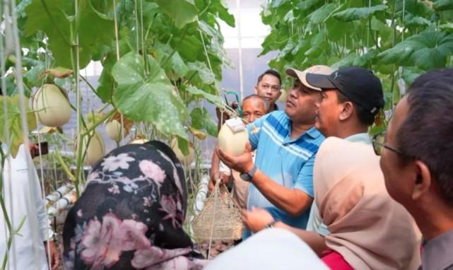 Jakarta Timur Dorong Ketahanan Pangan Lewat Penghijauan dan Budidaya Melon Hidroponik