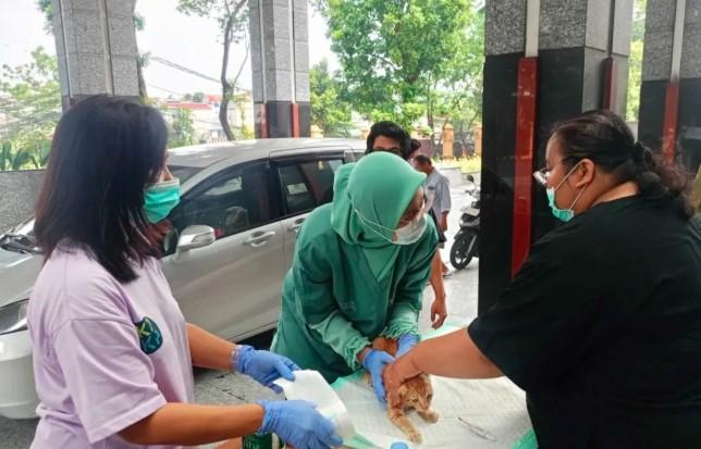 Jakarta Timur Suntik Vaksin Rabies ke 13 Ribu Hewan Demi Pertahankan Status Bebas Rabies