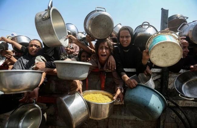 Kisah Perempuan Gaza: Dokter dan Ibu yang Menjaga Harapan di Tengah Konflik