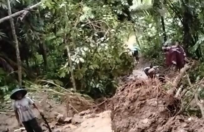 Cuaca Ekstrem Terjang Purbalingga, BPBD Tangani Longsor dan Pohon Tumbang di Empat Kecamatan