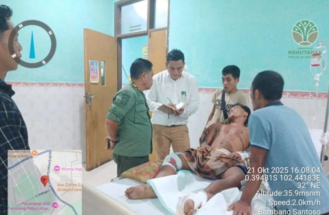 Dua Harimau Sumatera Serang Warga Indragiri Hulu Saat Panen Damar, BBKSDA Riau Imbau Waspada