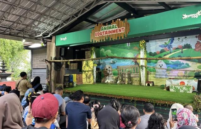 Pemkot Bandung Larang Kunjungan ke Bandung Zoo karena Masalah Izin Pengelolaan