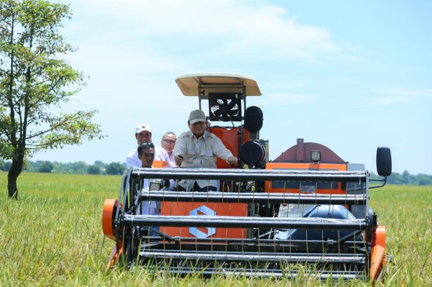 Setahun Pemerintahan Prabowo-Gibran: Petani Untung, Produksi Naik, Pupuk Murah