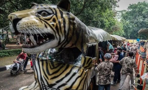 Ragunan Terbuka untuk Sidak Usai Tuduhan Korupsi Pakan Satwa Viral di Media Sosial