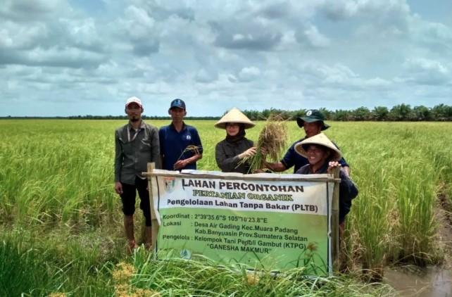 BRIN Dorong Solusi Berbasis Alam untuk Pulihkan Ekosistem Gambut Sumatera Selatan