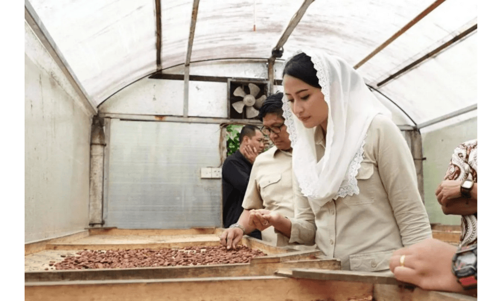 Wamendag Dorong Eksportir Kakao Bali Manfaatkan Perjanjian Dagang Global untuk Perluas Pasar