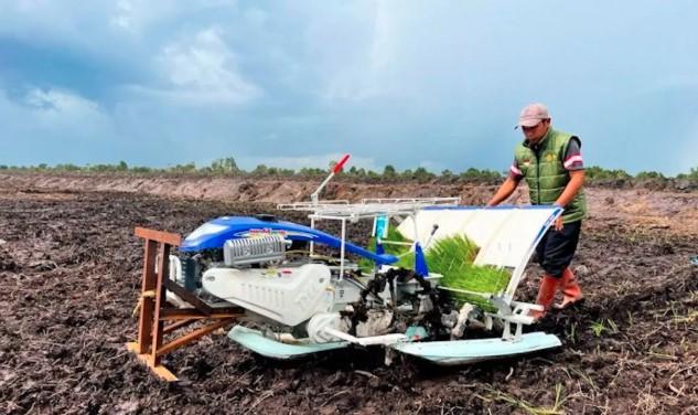 IPB Tegaskan Agronomi Jadi Kunci Sukses Cetak Sawah untuk Swasembada dan Ketahanan Pangan