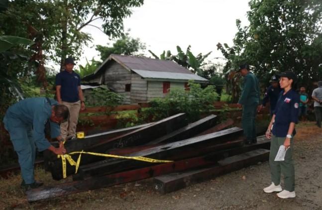 Kemenhut Bongkar Penyelundupan Kayu Ilegal di Jalur Tol Laut dan Tetapkan NS sebagai Tersangka