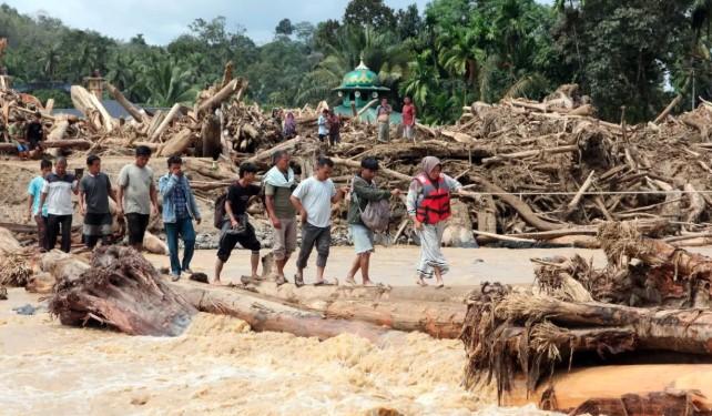 Video Harimau Terbawa Banjir di Sibolga Ternyata Hasil Rekayasa AI